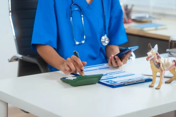 A veterinarian in blue scrubs using a calculator and smartphone at a desk next to an anatomical dog model.