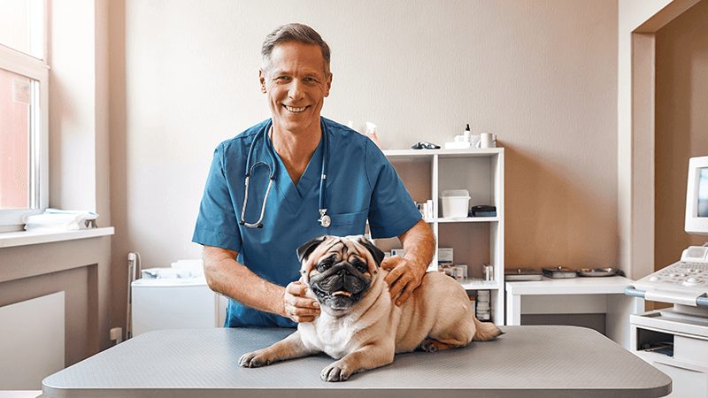 How a Veterinary Health Organization Streamlined Invoice Processing